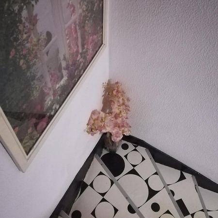 Hotel Cristo Rei ปอร์โต ภายนอก รูปภาพ